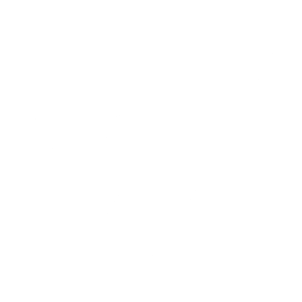 Veo7